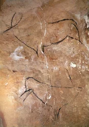 Twee Herten, uit de Grotten van Altamira, c.15000 v.Chr.